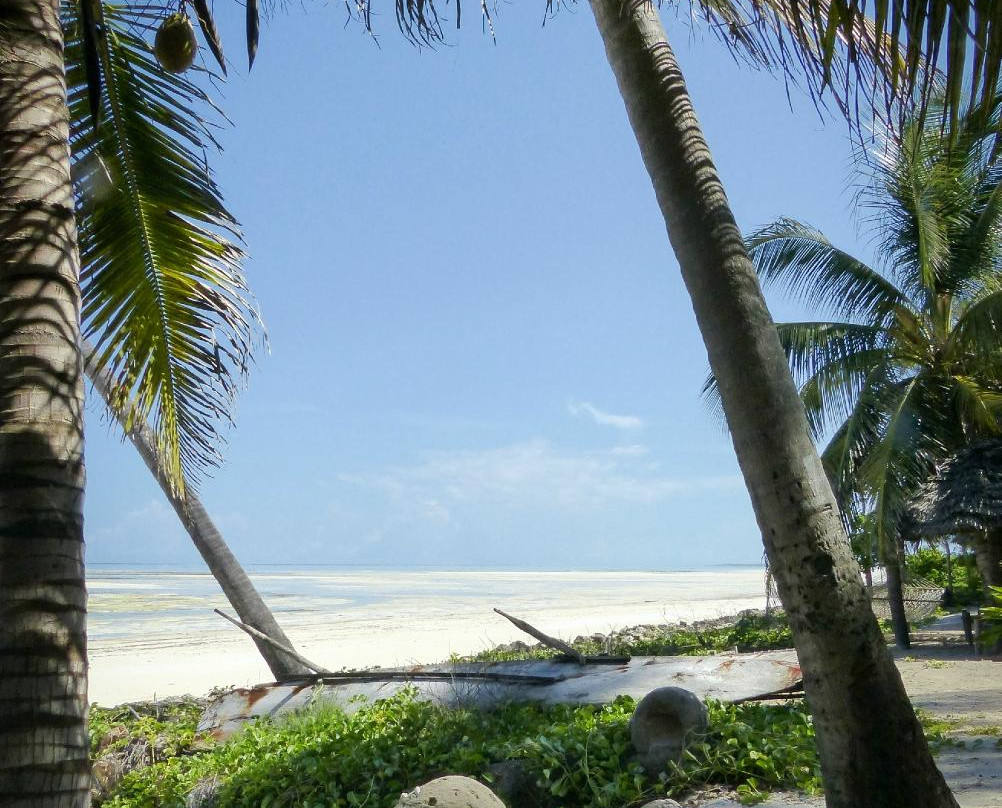 Kite Dream Zanzibar-帕杰必去景点