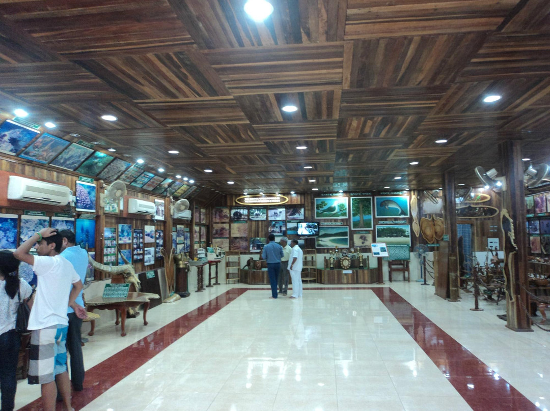 Forest Museum-布莱尔港必去景点