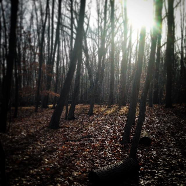 Weir Farm National Historic Site-Wilton必去景点