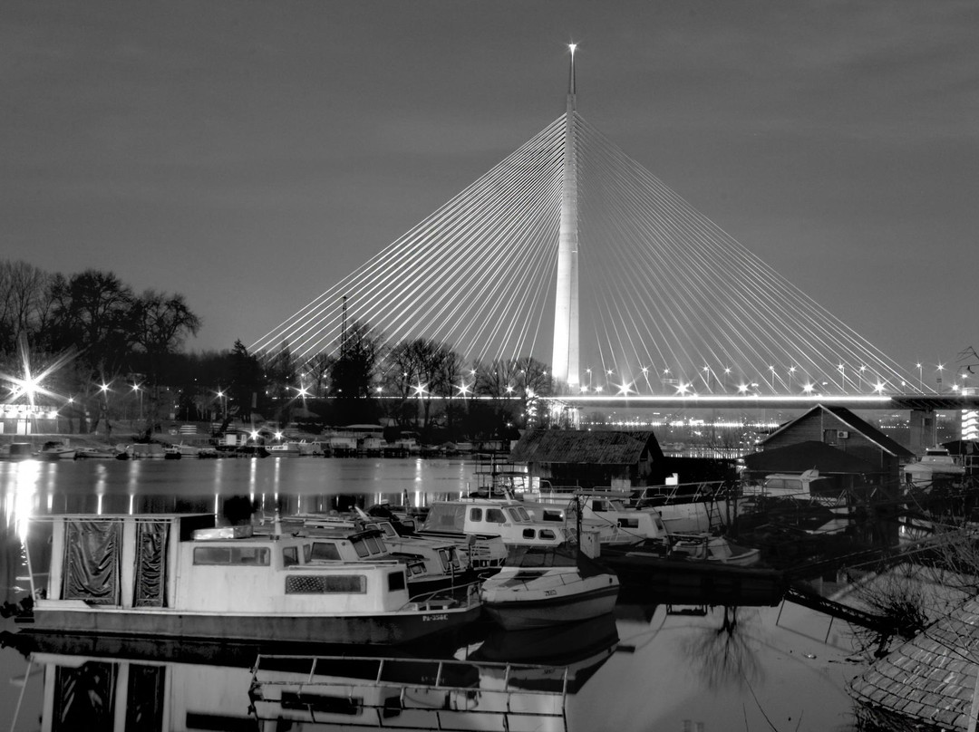 Sava Bridge景点图片