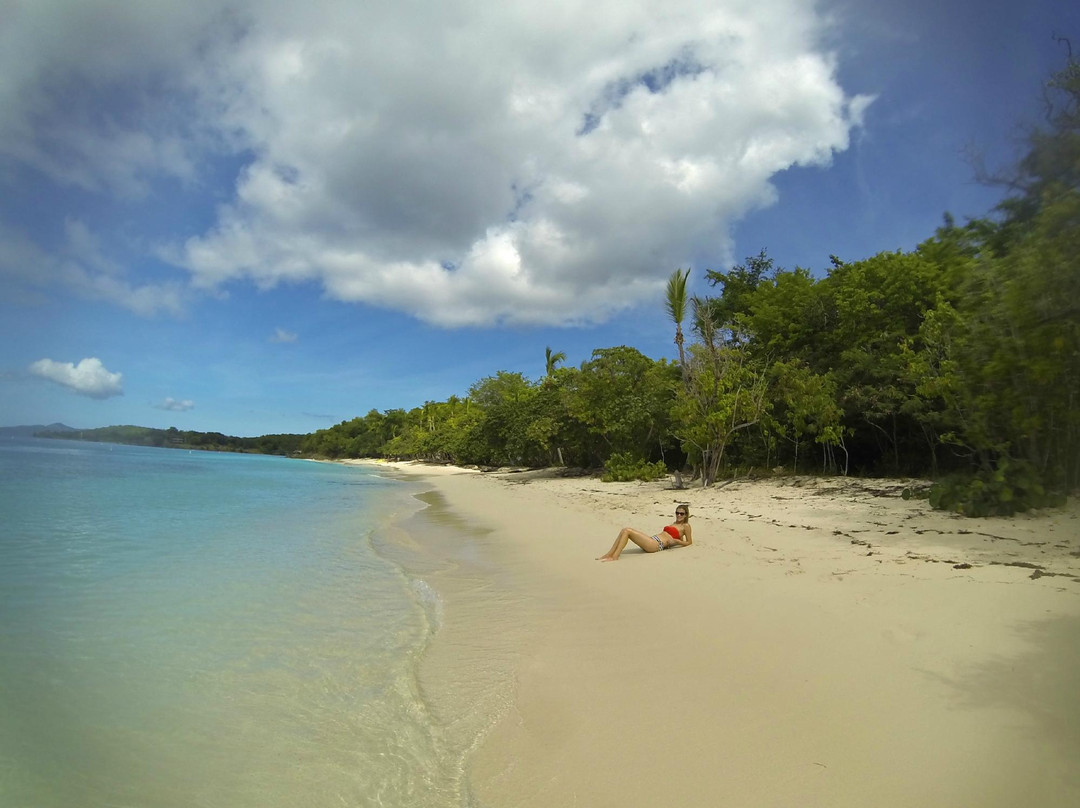 Wasabi Sailing-夏洛特阿马利亚必去景点