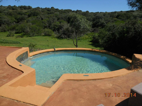 The Safari Lodge主图