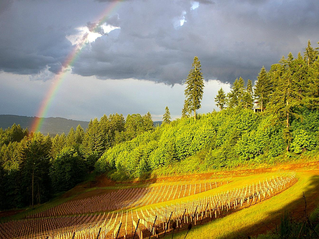 Native Flora Wines景点图片