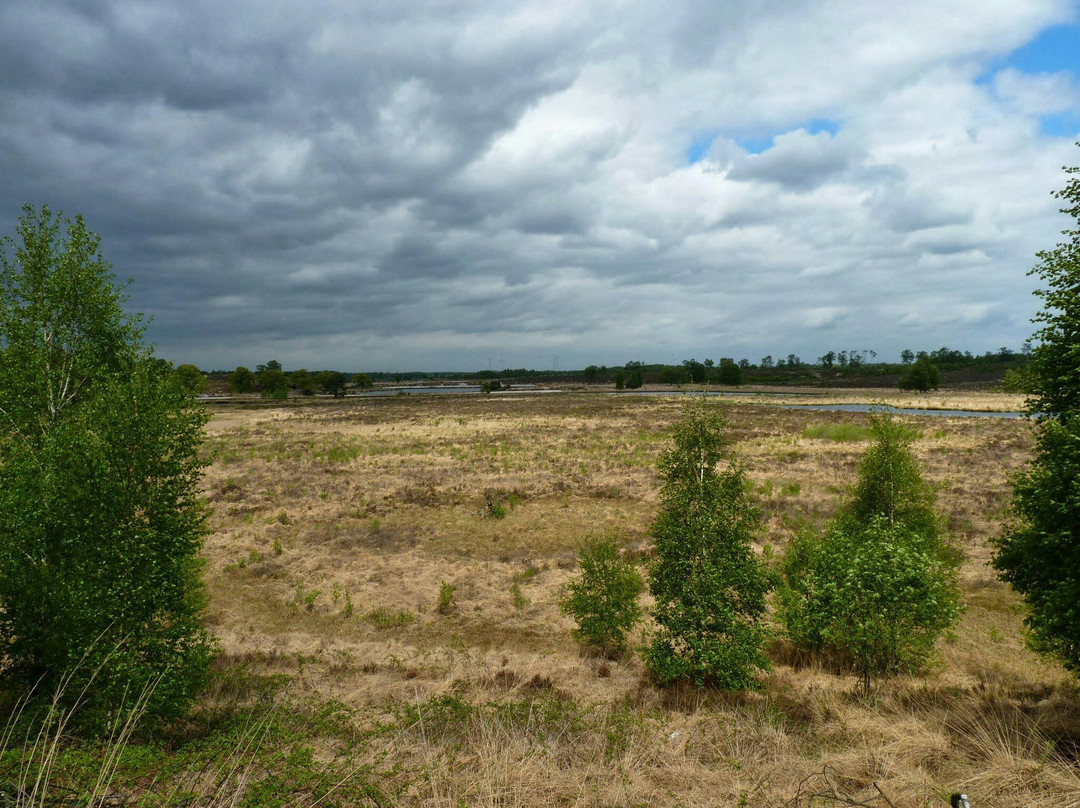 Nationaal Park De Maasduinen景点图片