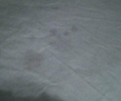 Beiderbecke Bed and Breakfast主图