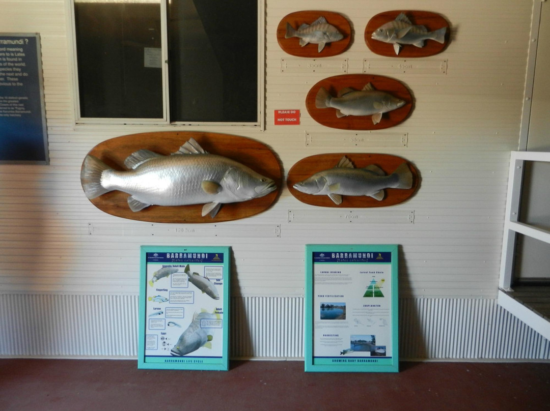 Barramundi Discovery Centre & Hatchery Karumba-Karumba必去景点