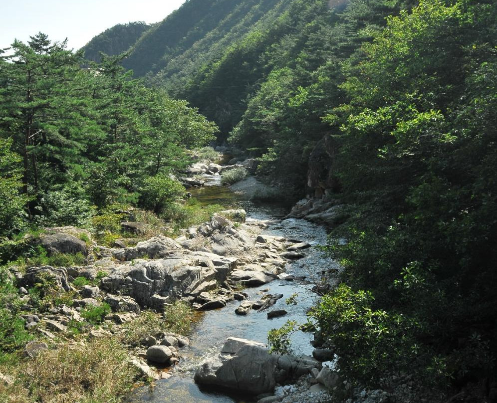 Mureung Valley-东海市必去景点