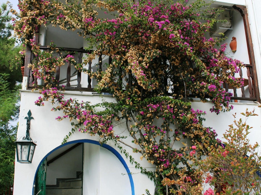 Lagonisi Beach Apartments Kalamaras