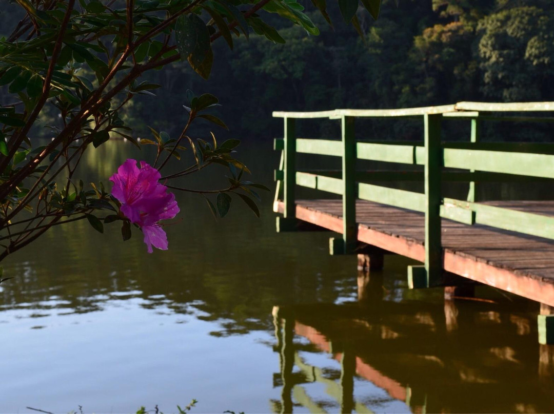 Represa João Gasparini-维涅杜必去景点