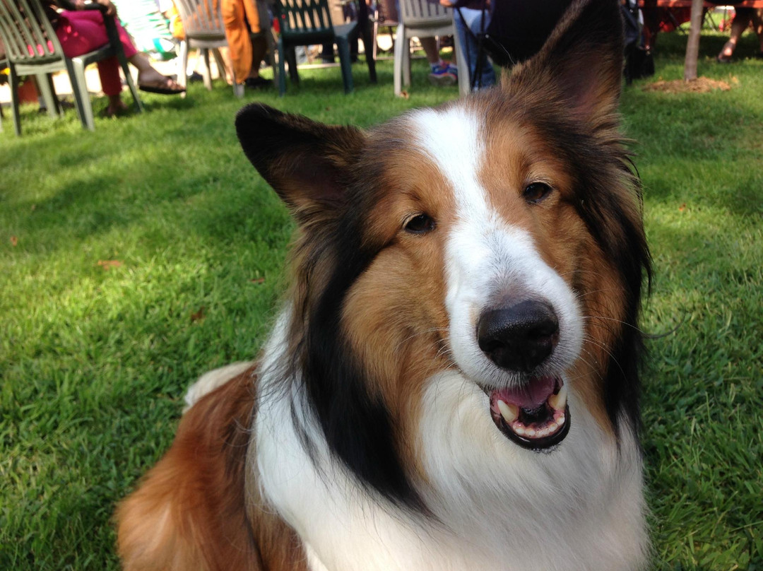 Pioneer on Long Lake-Sarona必去景点