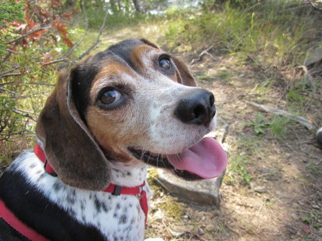 Button Bay State Park-Vergennes必去景点