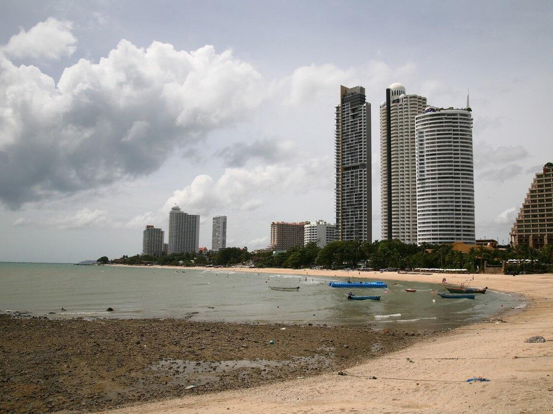 Dongtan Beach景点图片