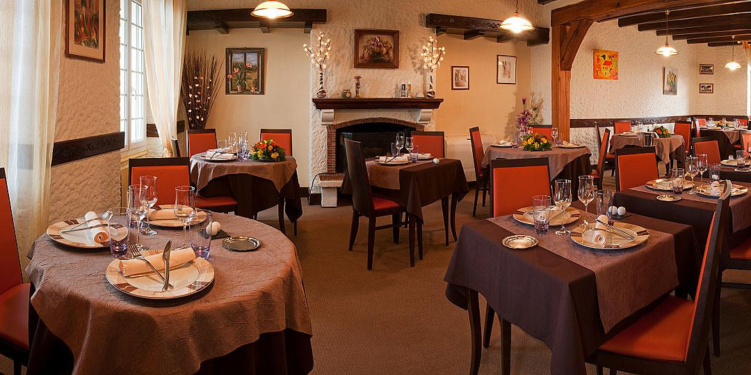 Logis Hôtel du Dauphin主图