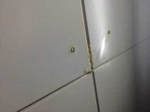 一天下大酒店主图