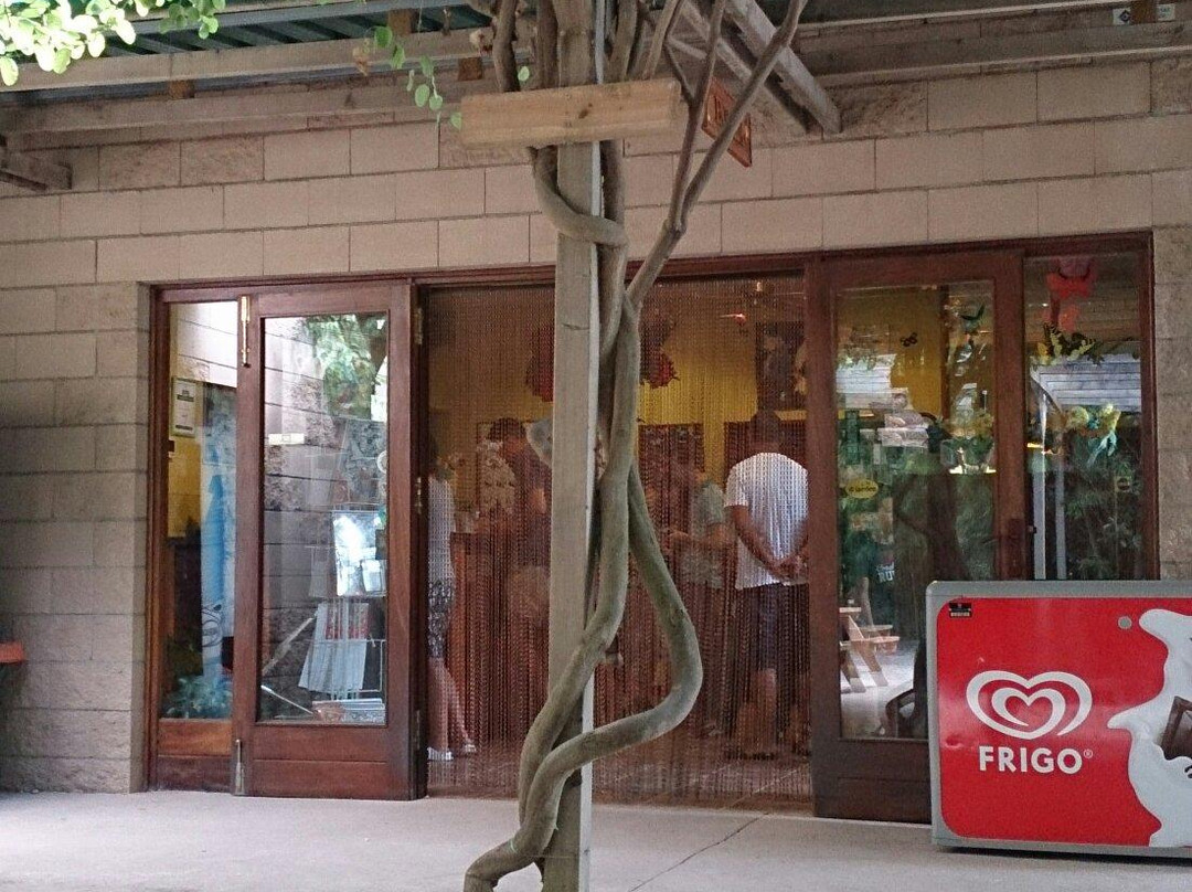 Butterfly Park Empuriabrava景点图片