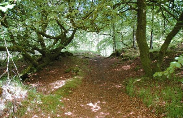 Inverawe Smokehouse-Taynuilt必去景点