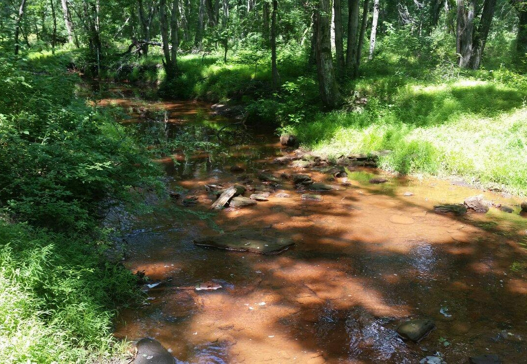 Turkey Swamp Park景点图片