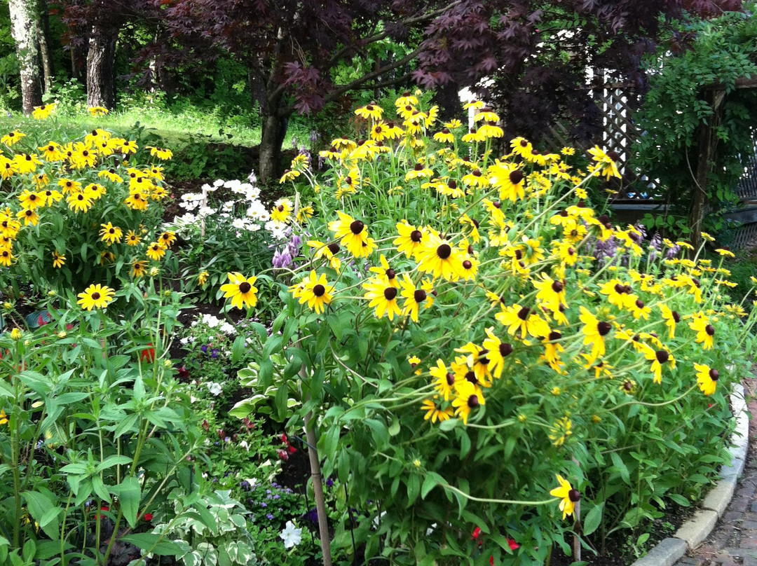 Alewives & Ales Bed & Breakfast主图