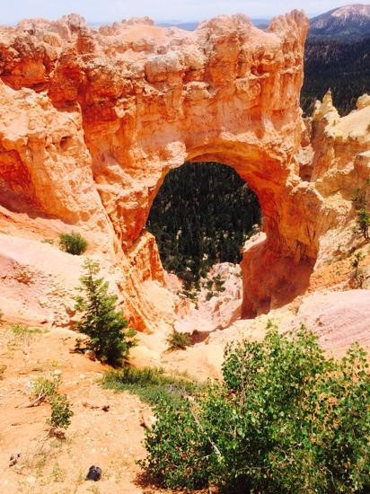 Natural Bridge-布莱斯必去景点