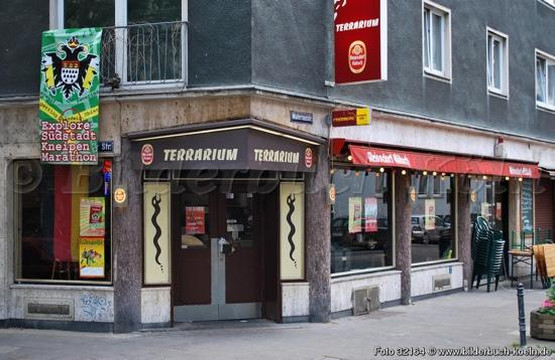 Marienmuenster旅游景点-Terrarium