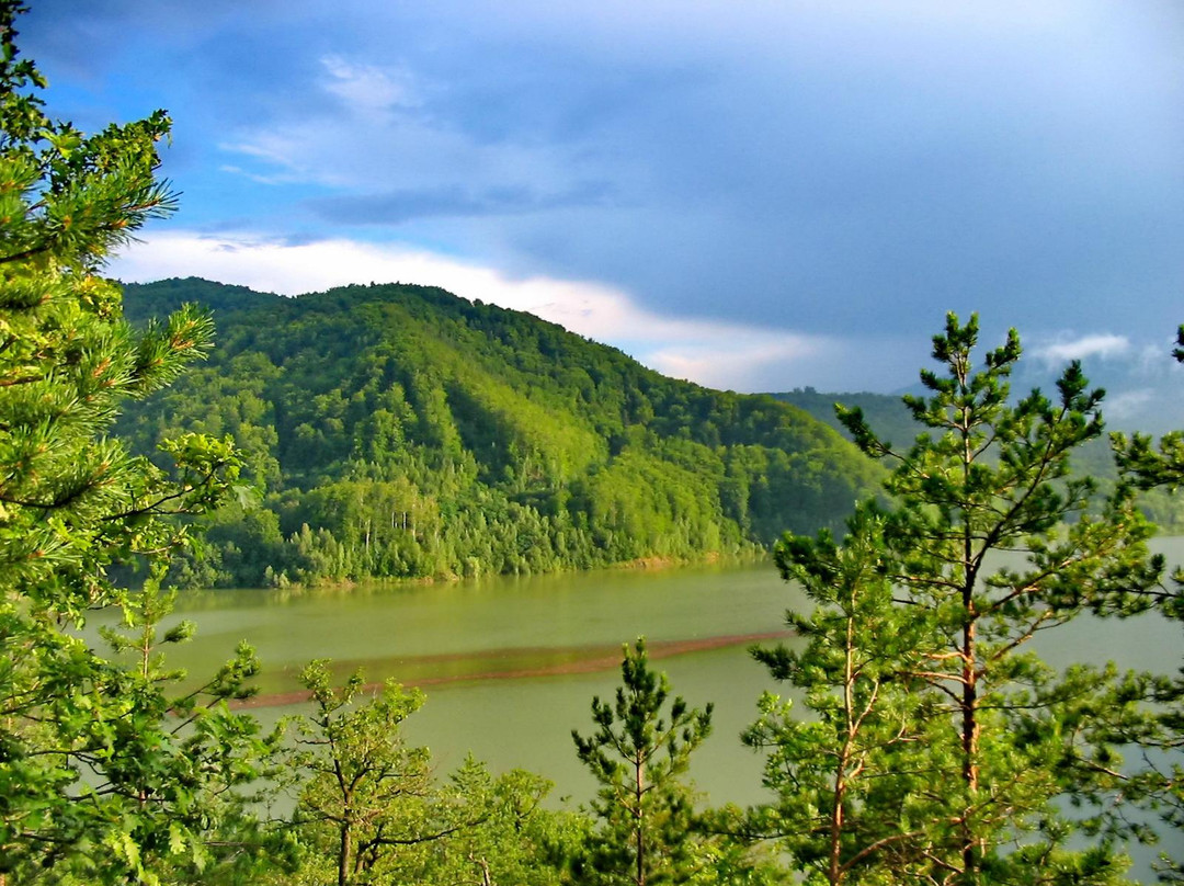 Lake Valea Uzului景点图片