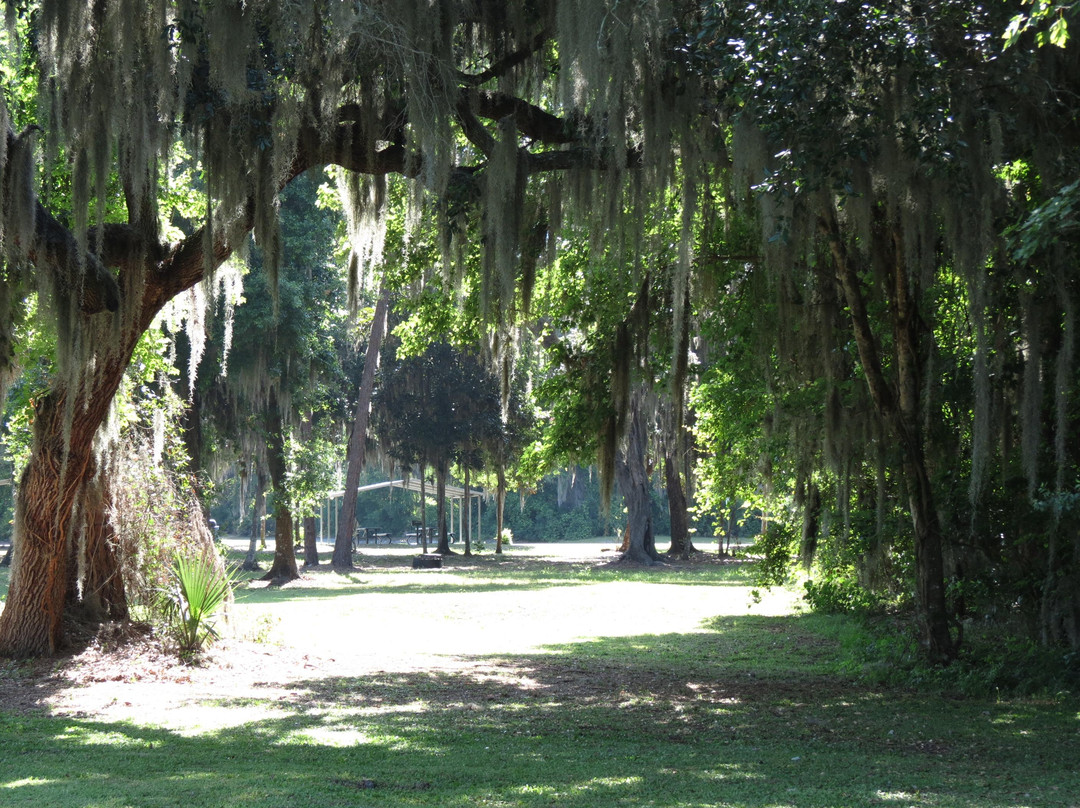 Lake Okahumpka Park景点图片