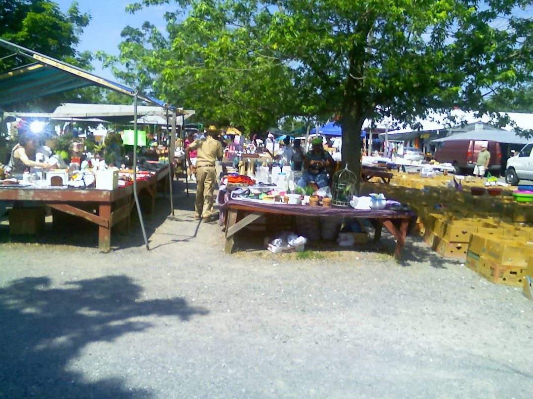 Spence's Bazaar-多佛必去景点