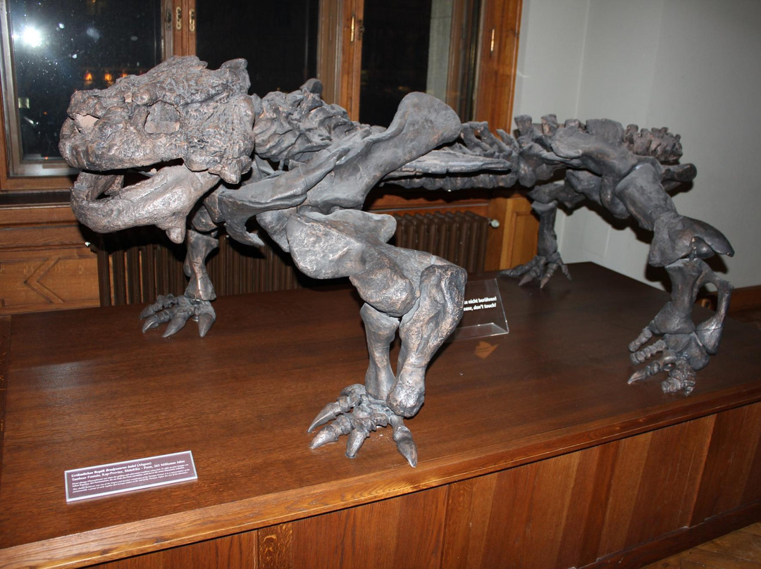 自然史博物馆-维也纳必去景点