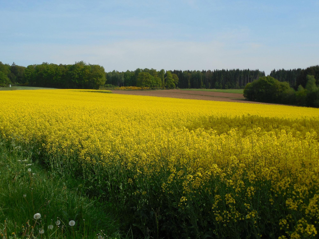 Voie Verte Trans-Ardennes-Montcy-Notre-Dame必去景点
