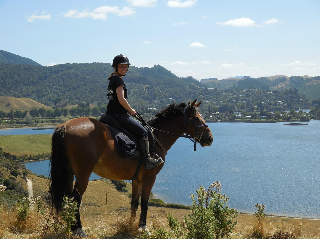 Horse Trekking Lake Okareka景点图片