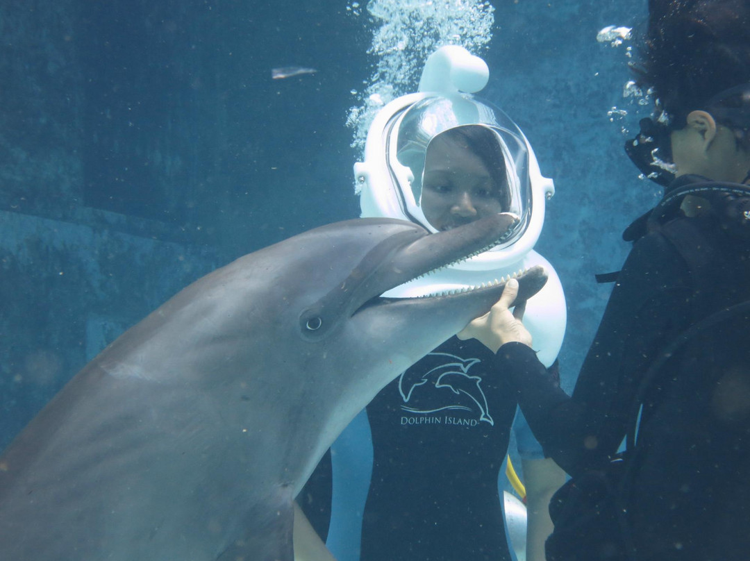 海豚岛-圣淘沙岛必去景点