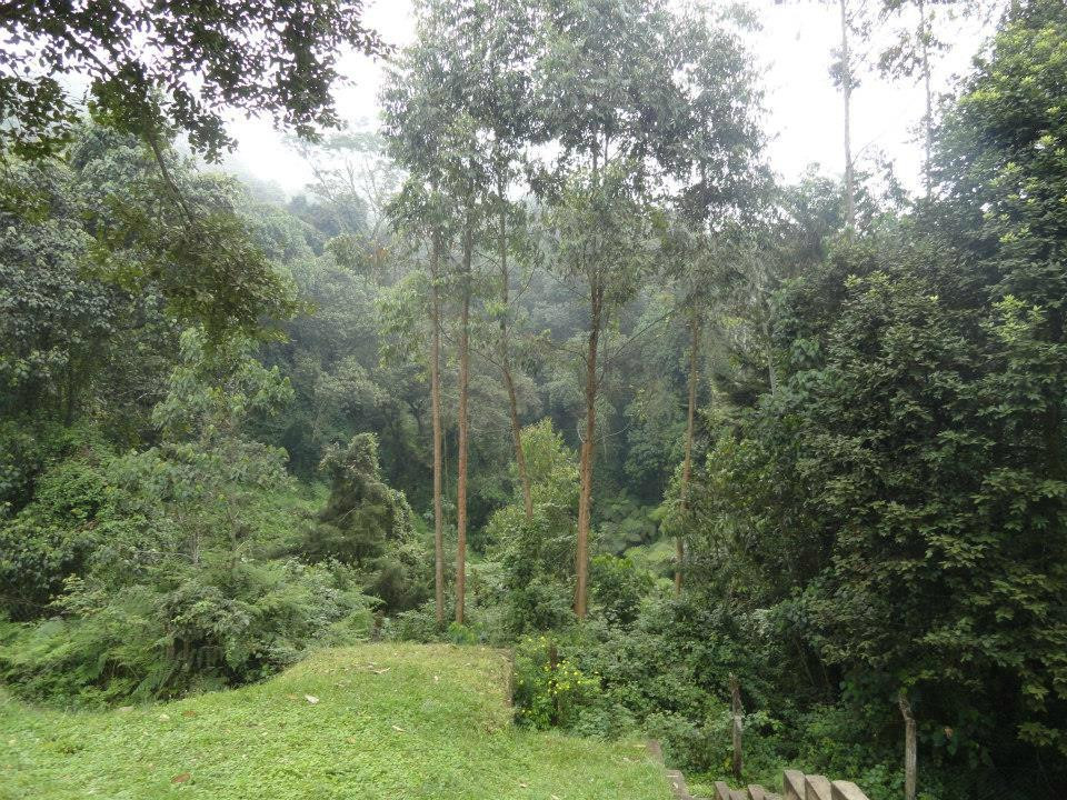 African Outdoor Adventures -  Day Tours-Kommetjie必去景点