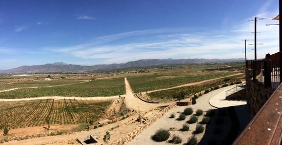 Las Nubes Bodegas y Viñedos-Valle de Guadalupe必去景点