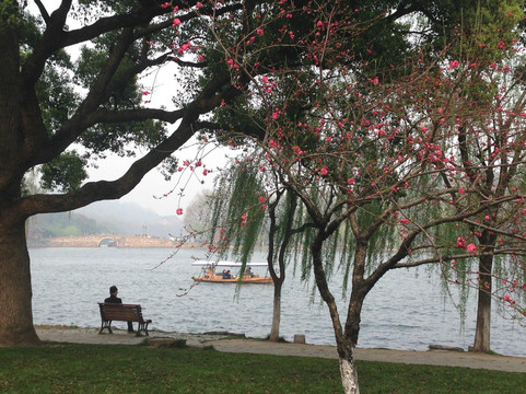 杭州西湖大华饭店主图