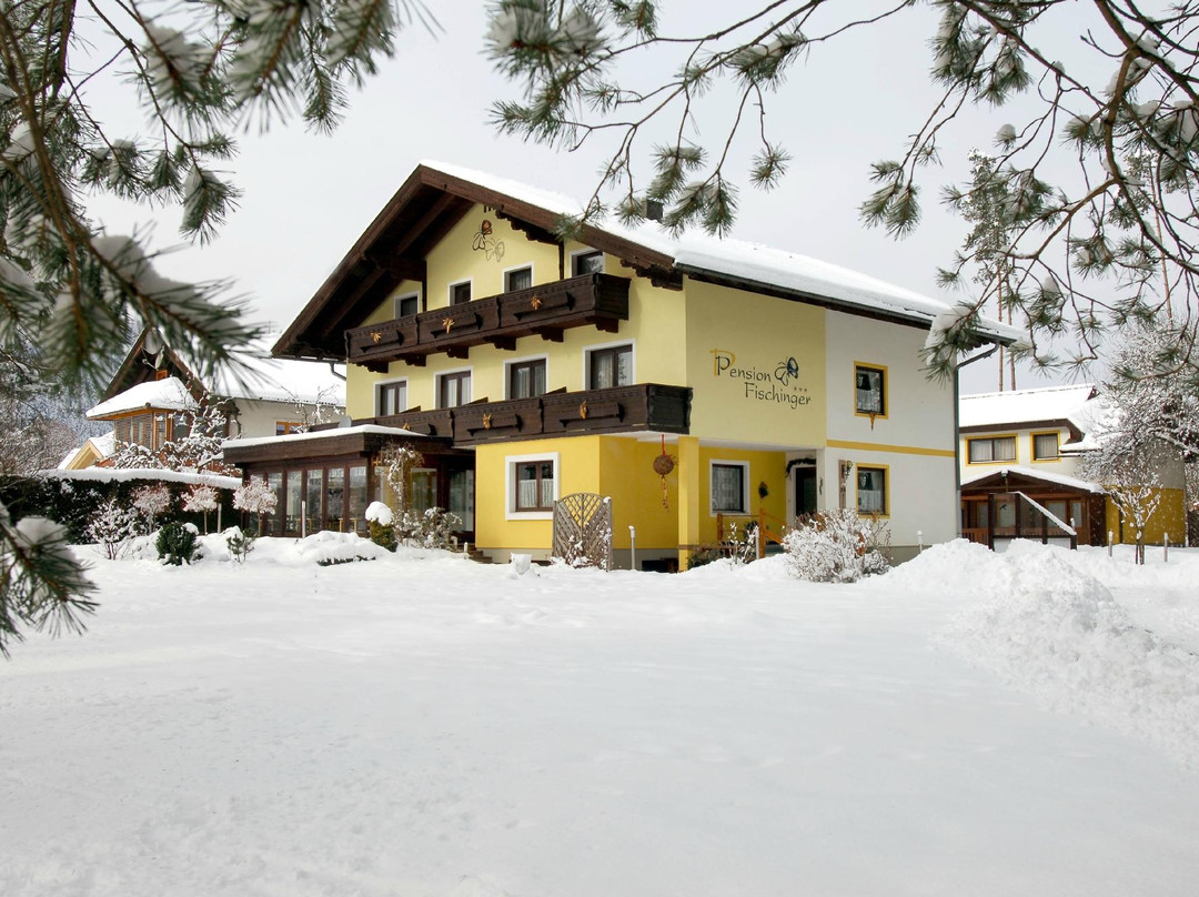 Pension Fischinger主图