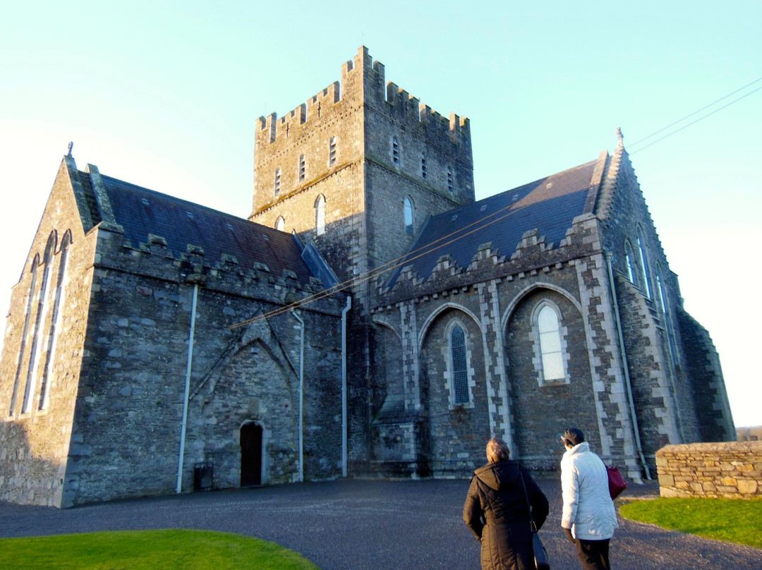 Saint Brigid's Cathedral and Round Tower-基尔代尔必去景点