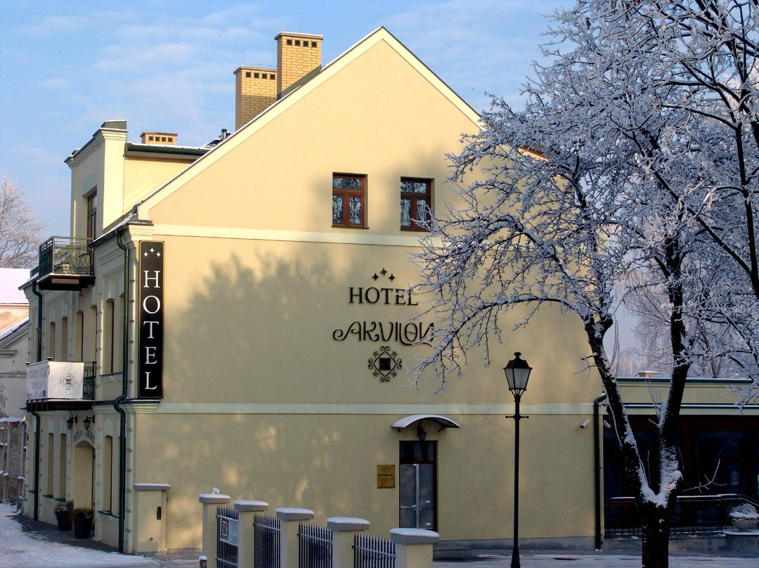 Szurpily酒店住宿-Akvilon Hotel