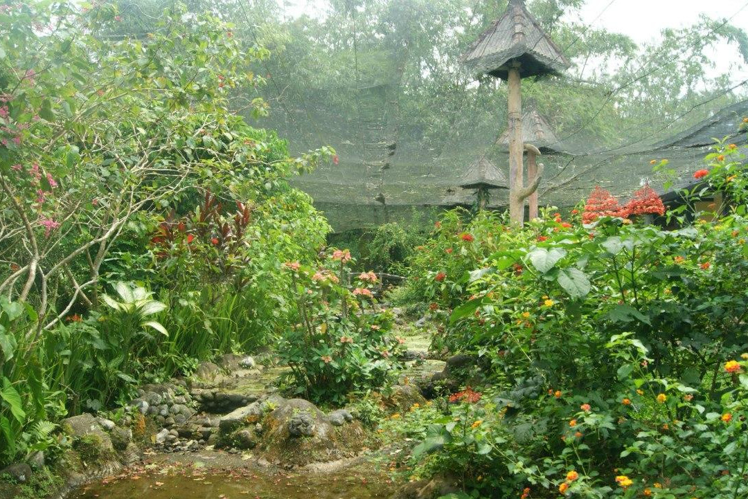 巴厘蝴蝶公园Taman Kupu Kupu-达巴南必去景点