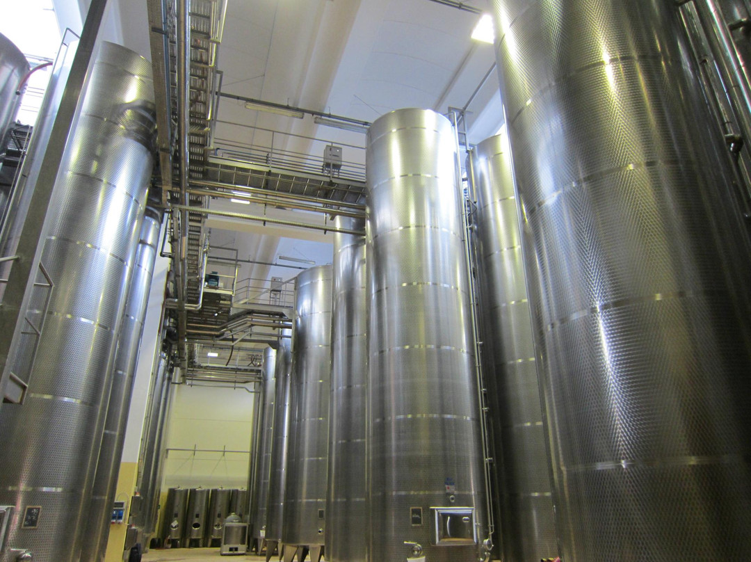 Sol Levante Tour-博洛尼亚必去景点