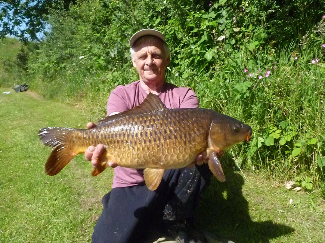 Pensagillas Coarse Fishing Lake-Grampound必去景点