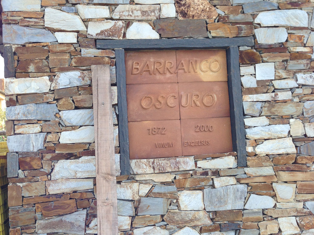 Bodega Barranco Oscuro景点图片
