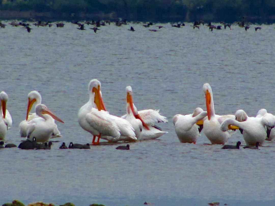 Grand Lake O' the Cherokees-Grove必去景点