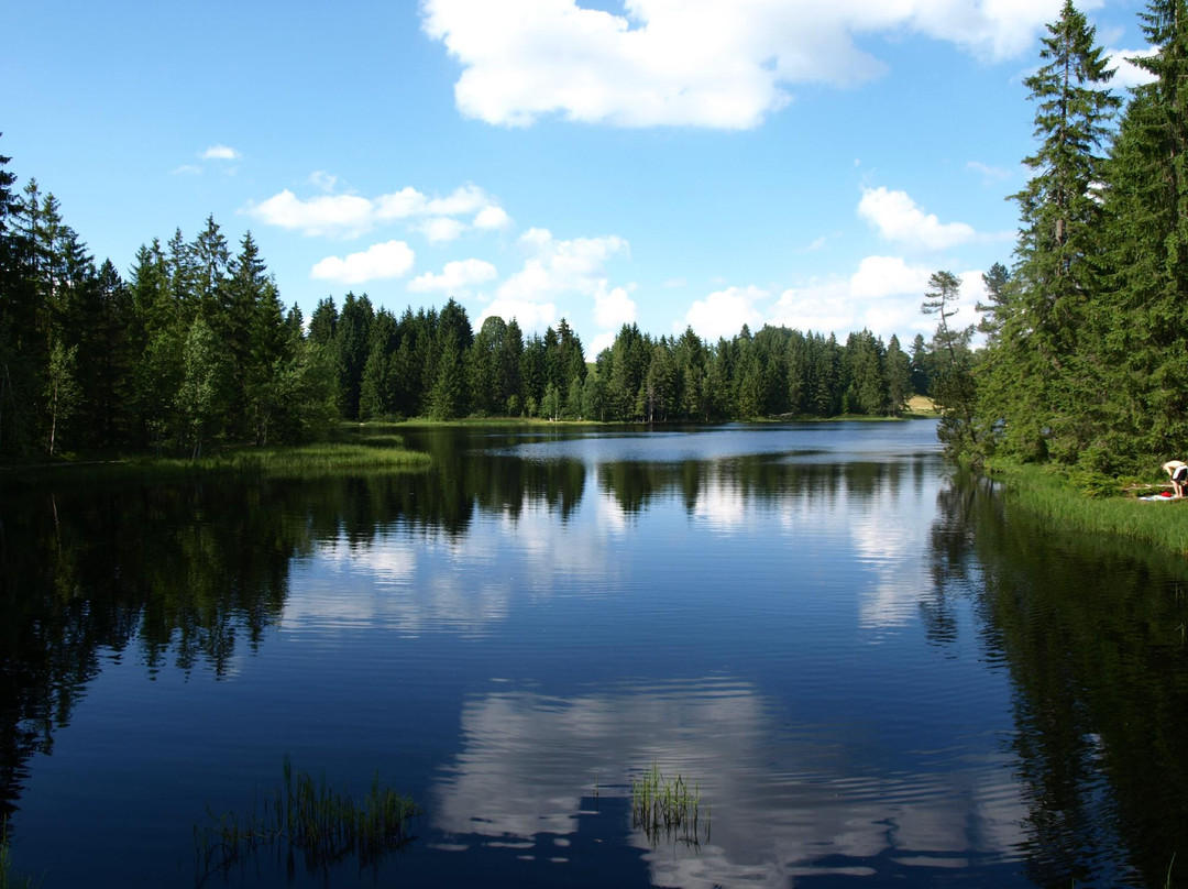 Etang de la Gruère-Saignelégier必去景点