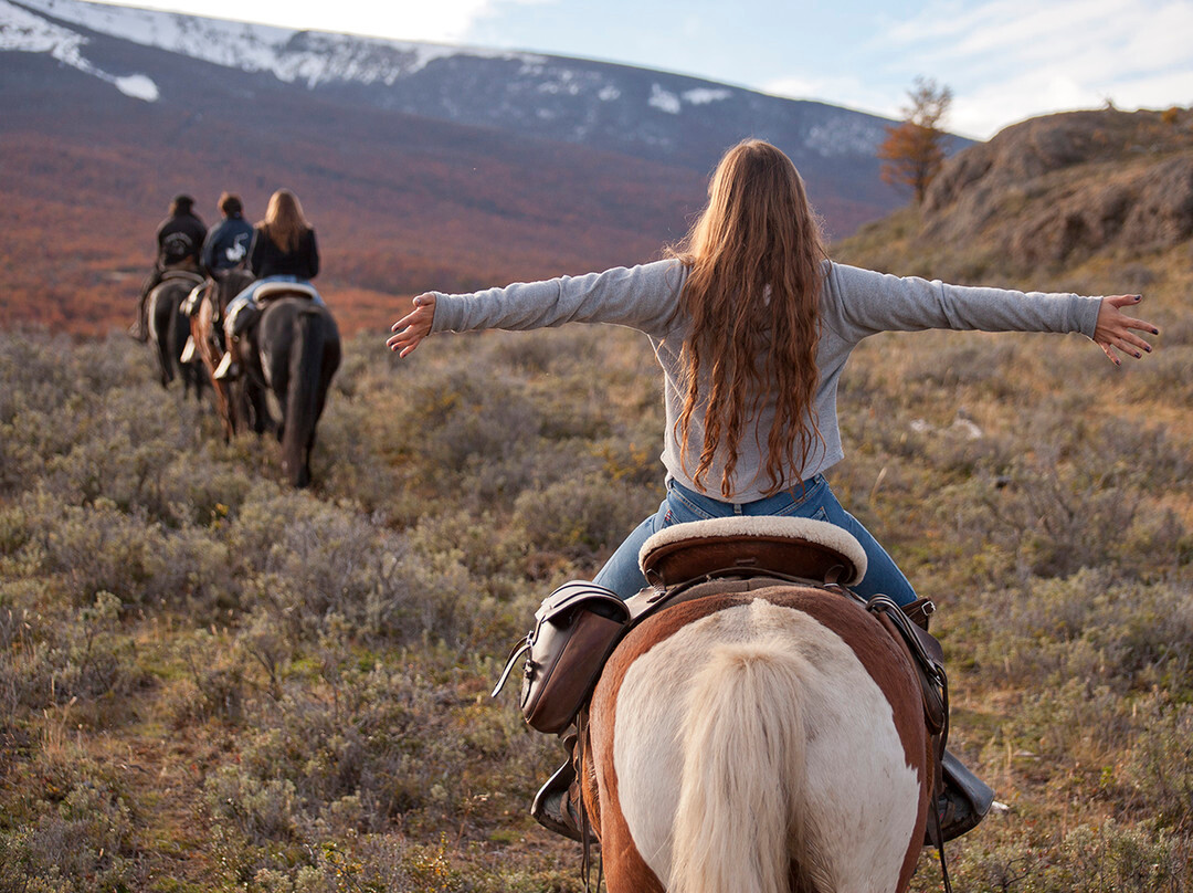 Pingo Salvaje-纳塔莱斯港必去景点