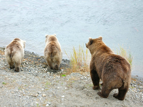 Steller Air Service-荷马必去景点