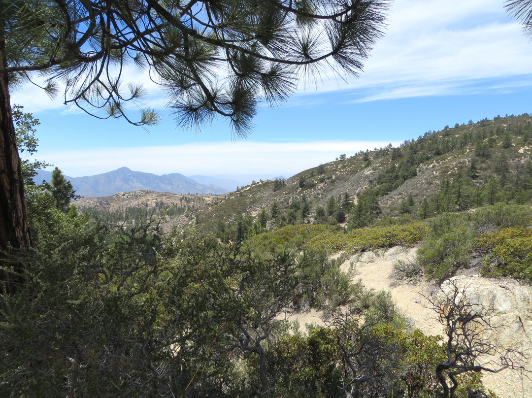 Chilao Recreation Area-拉肯纳达石岭必去景点