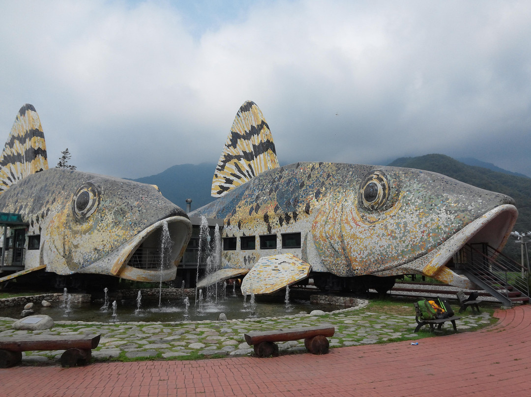 Jeongseon Rail Bike-旌善郡必去景点