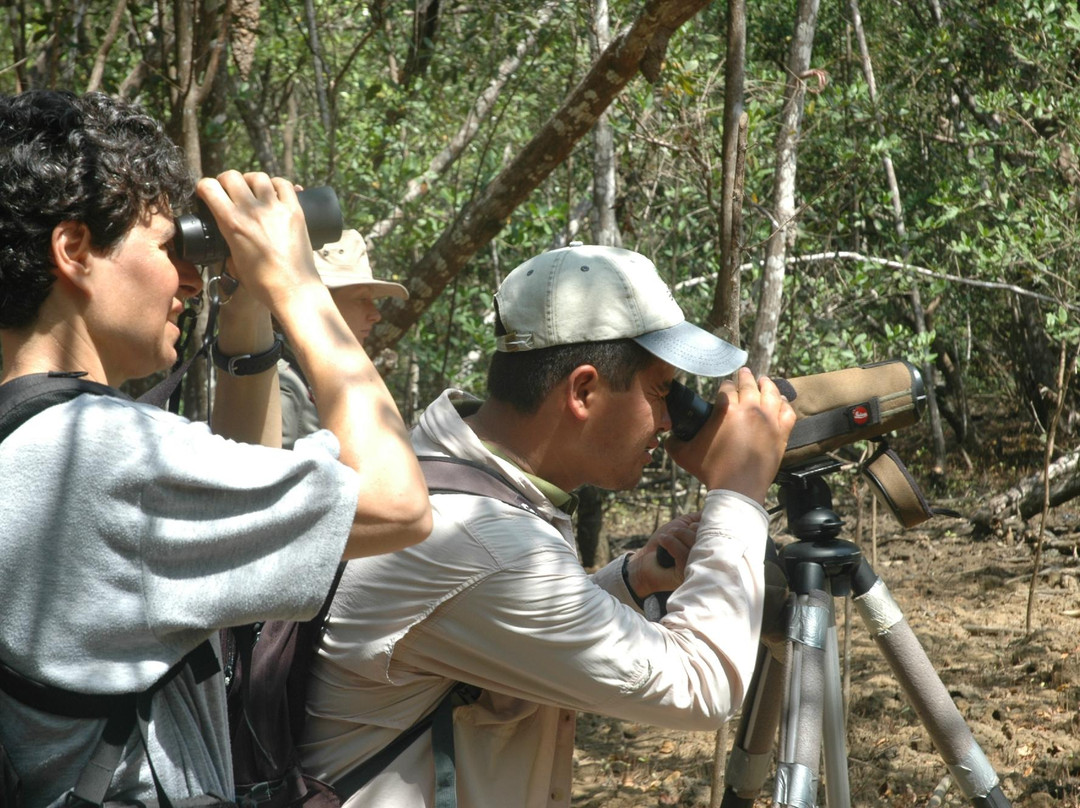 Ancon Expeditions of Panama-巴拿马城必去景点