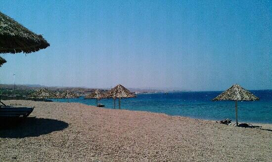 Berenice Beach Club-亚喀巴必去景点