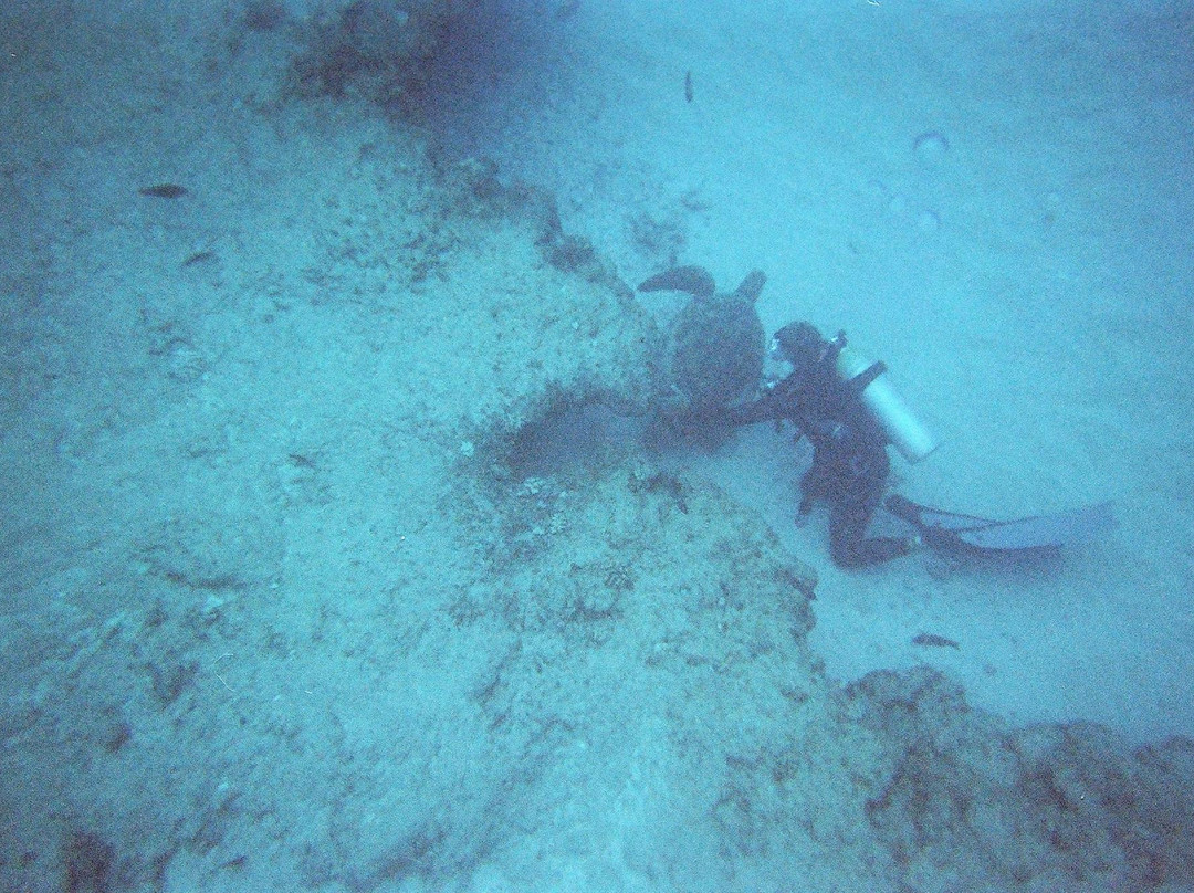 Island WaterSports Hawaii-火奴鲁鲁必去景点